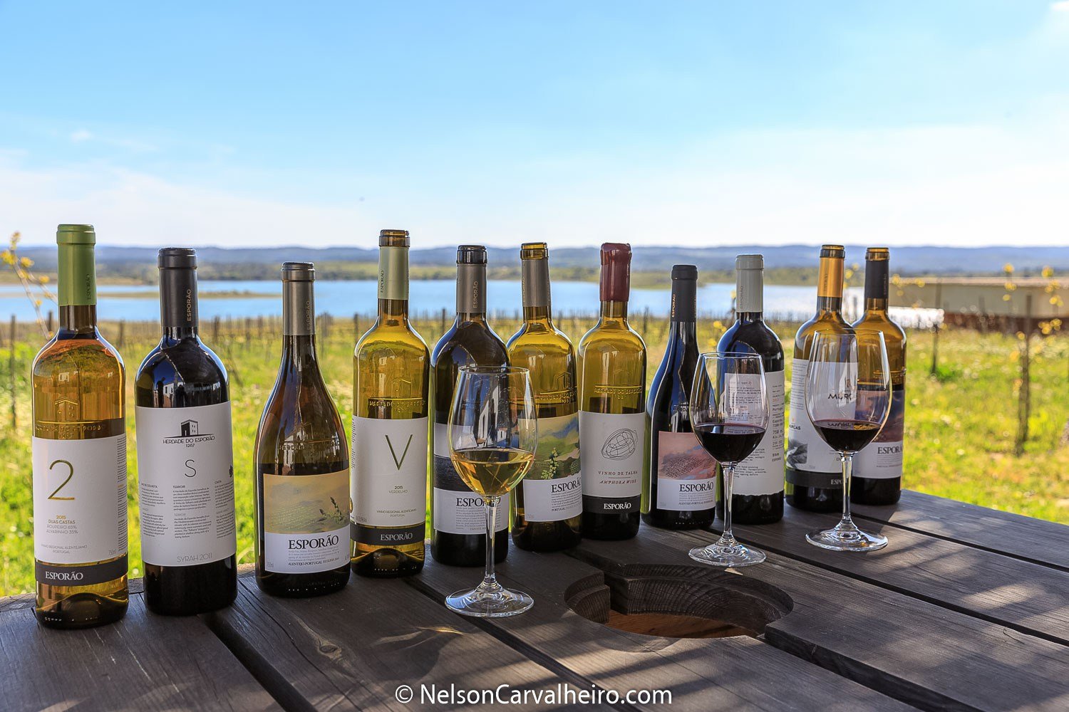 Alentejo Wine Travel Guide - Herdade do Esporão Wine