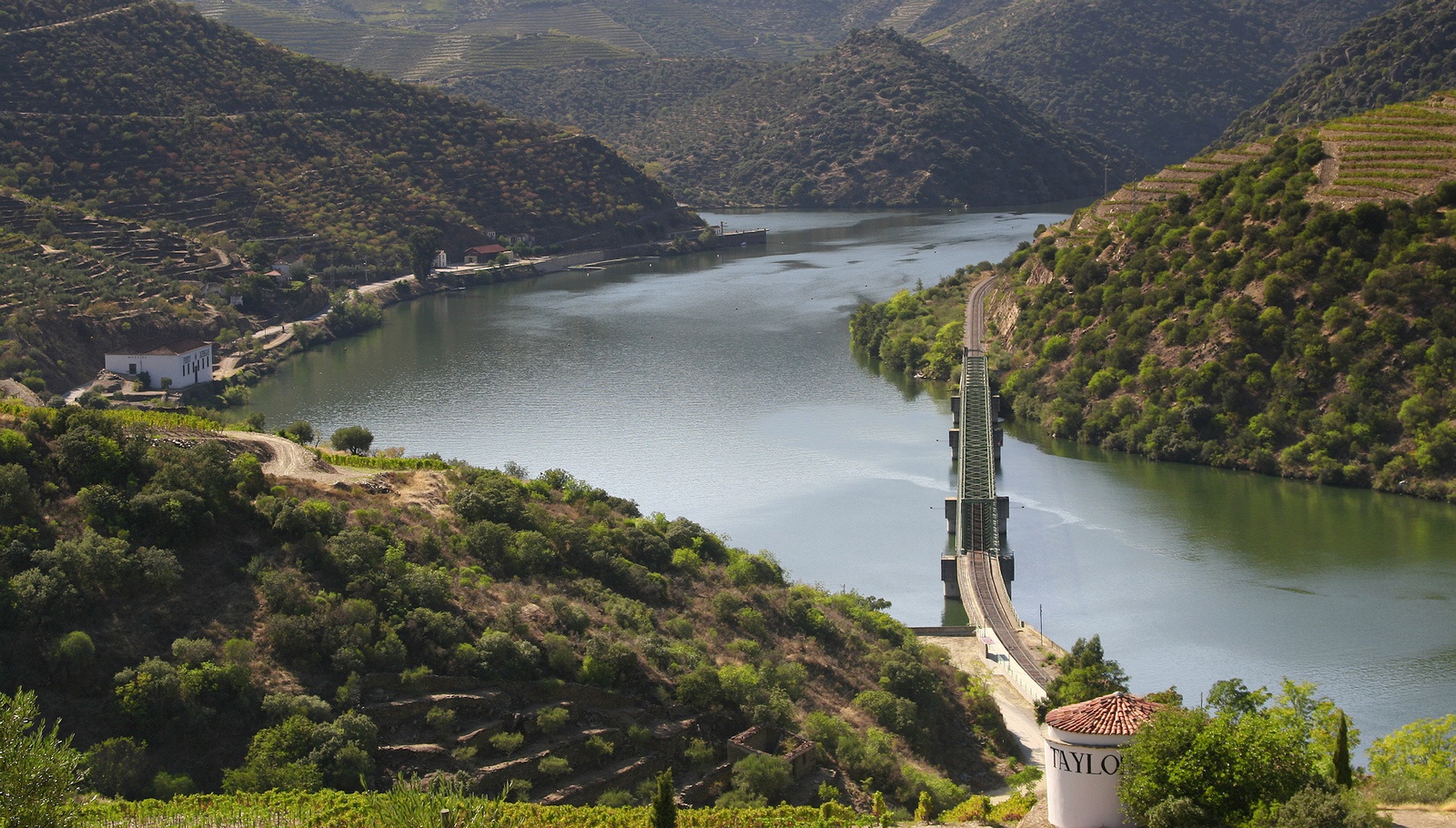 10 Wine Tours You Can't Miss in Porto