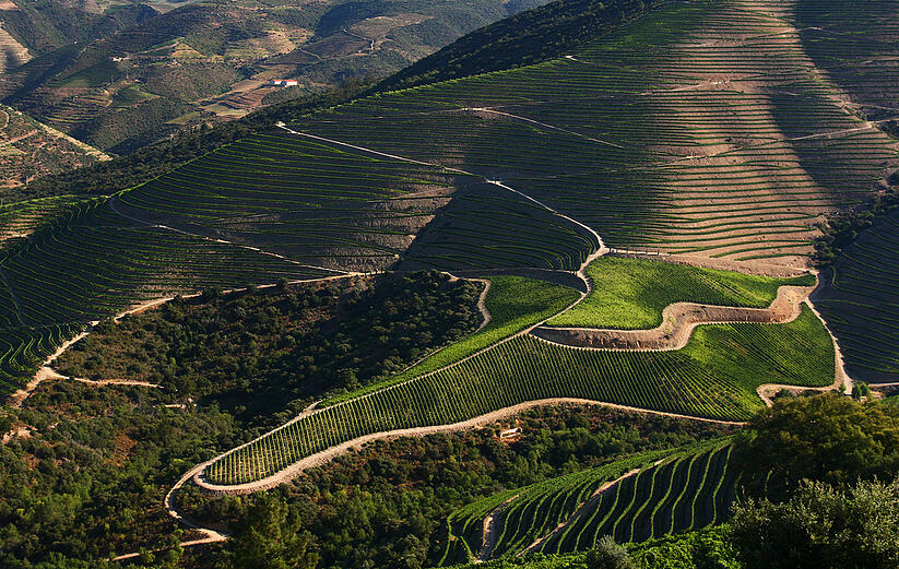 visit to douro wine region