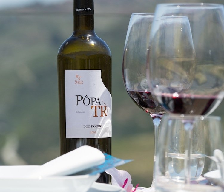 wine tours, wine tastings, wine portugal, wine travel destinations, how to taste wine