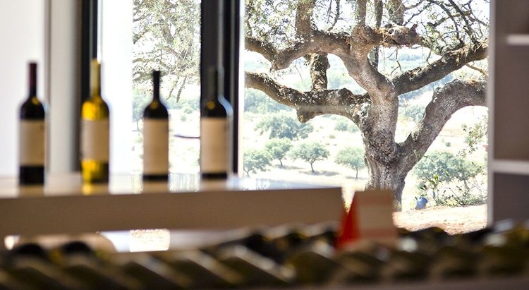 visitas_herdade_do_esporao22_2120545254522dc16f430_1