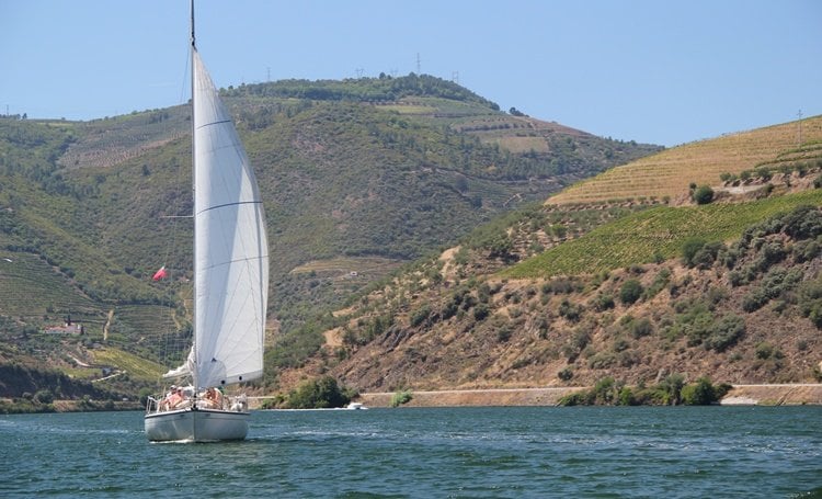 douro-a-vela-sailling-cruise.jpg