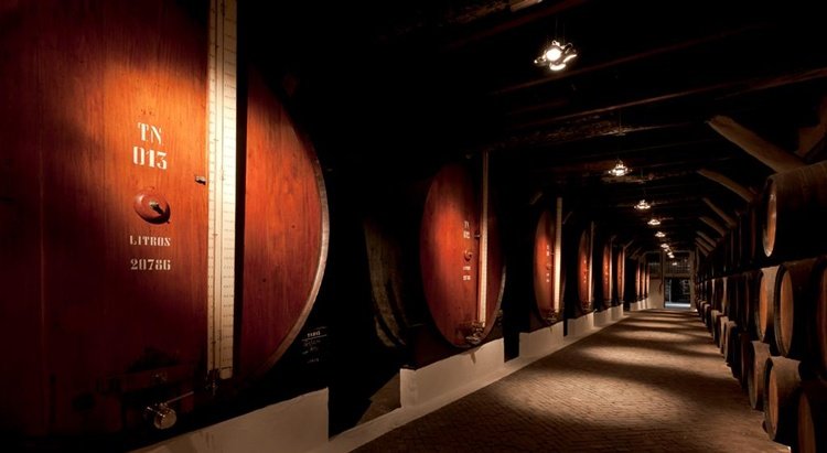 caves sandeman, port wine cellars, things to do in porto, wine tasting in porto