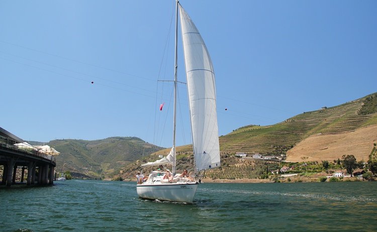 cruise in douro, douro river cruises