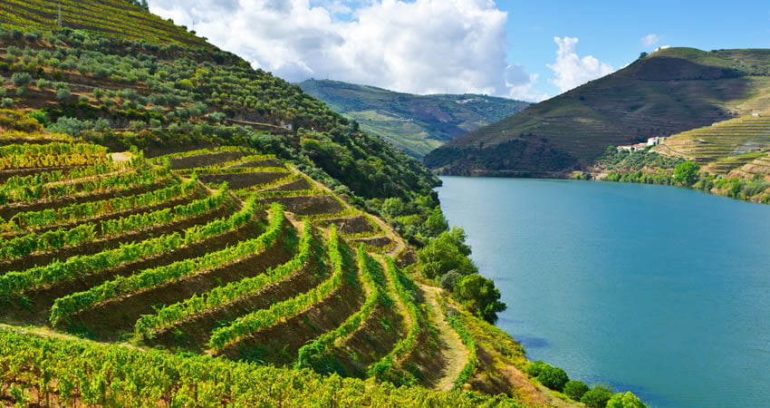 visit to douro wine region