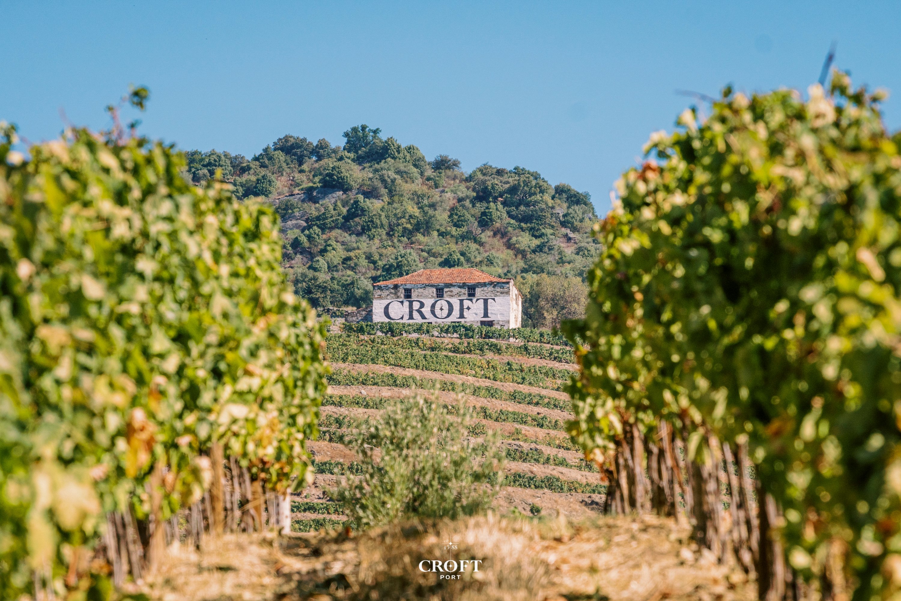 (117) Croft - Harvest 2020 - Quinta da Roeda - Vineyard and Croft building