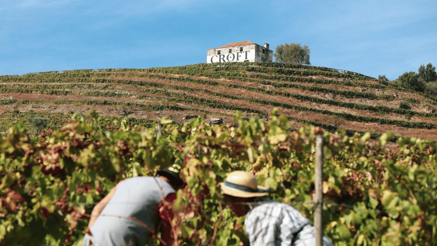 10 Top-Rated Wineries in Douro Portugal, Quinta da Roêda 