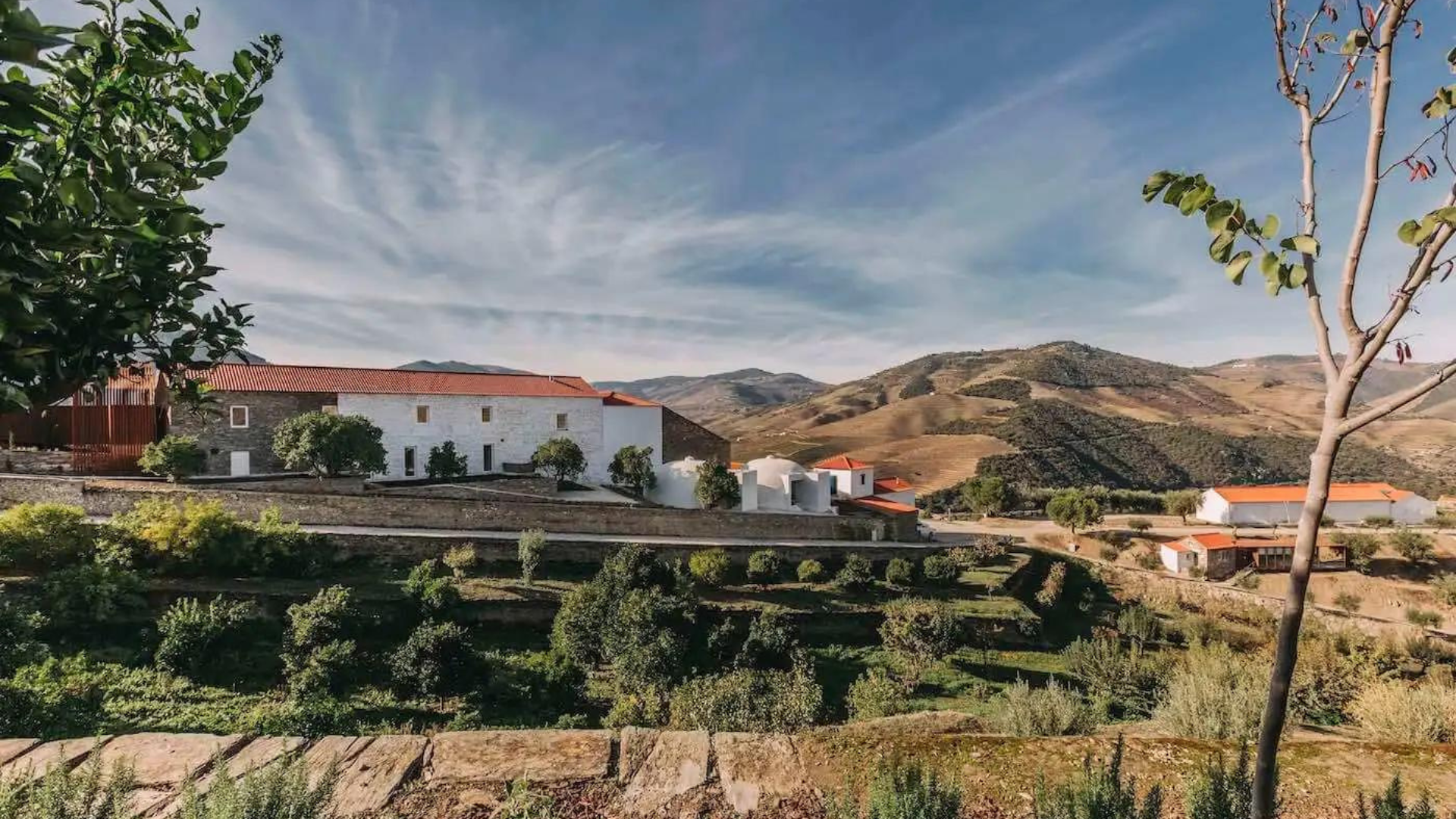 10 Wineries not to miss In the Douro, Quinta de Ventozelo 