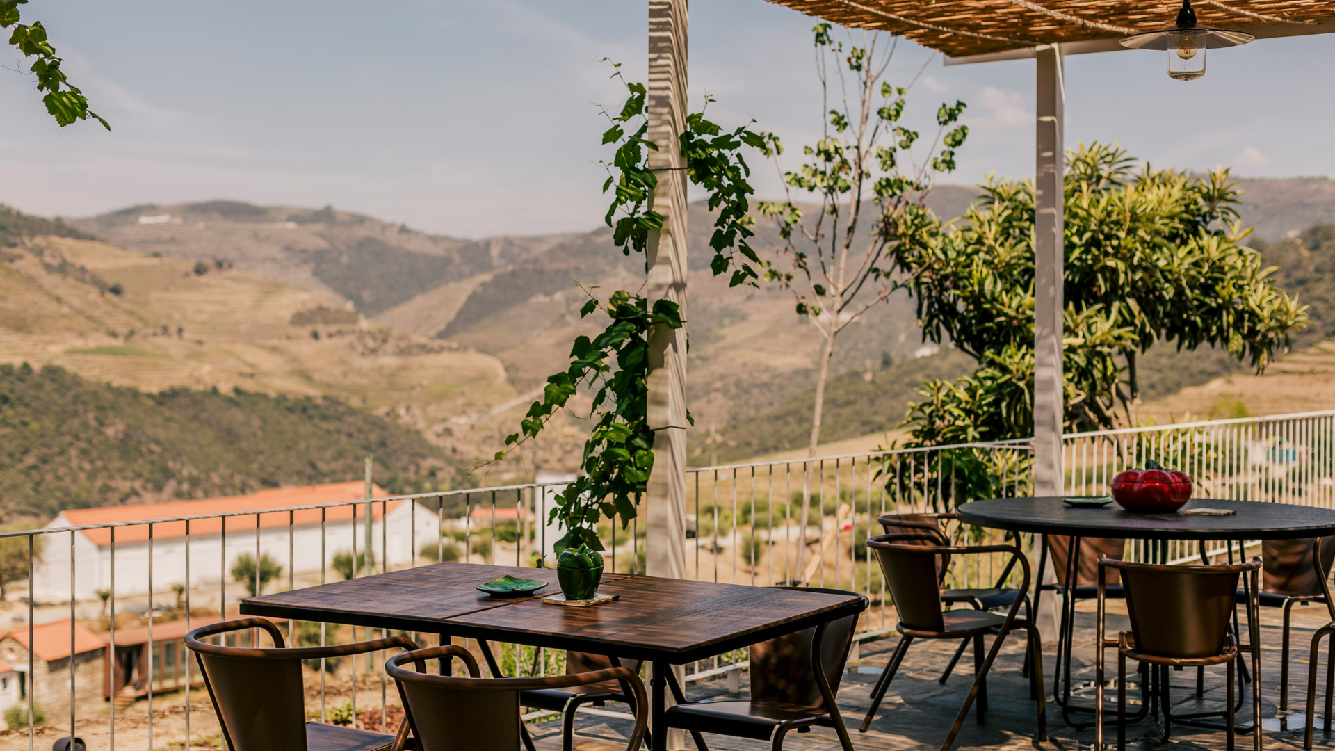 10 Top-Rated Wineries in Douro Portugal, Cantina de Ventozelo