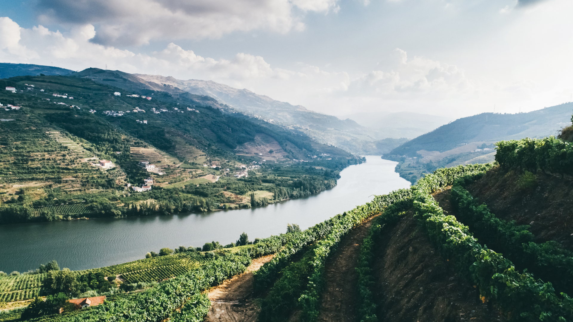 Douro Valley