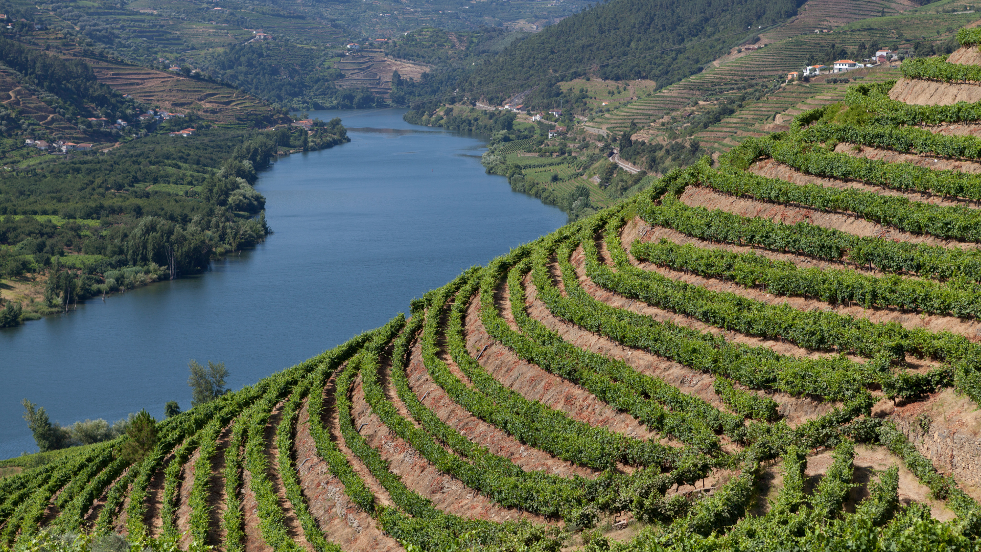 Douro Valley