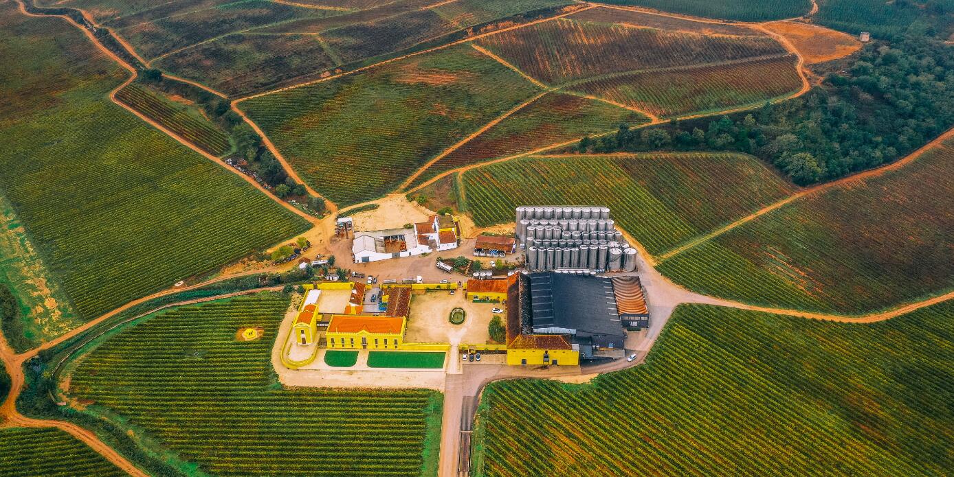 The Best Wineries for a Unique Experience in Portugal