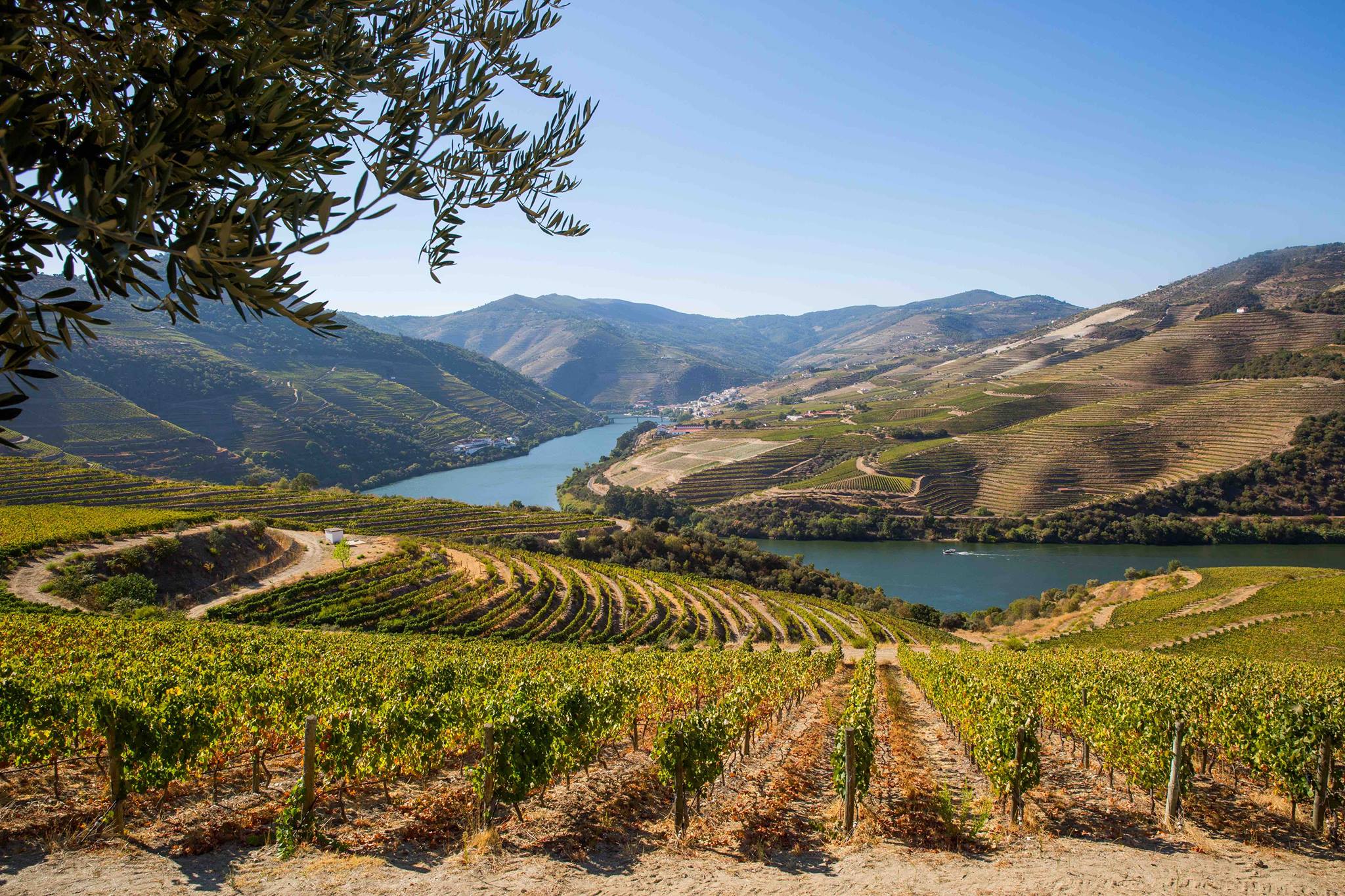 Douro Valley