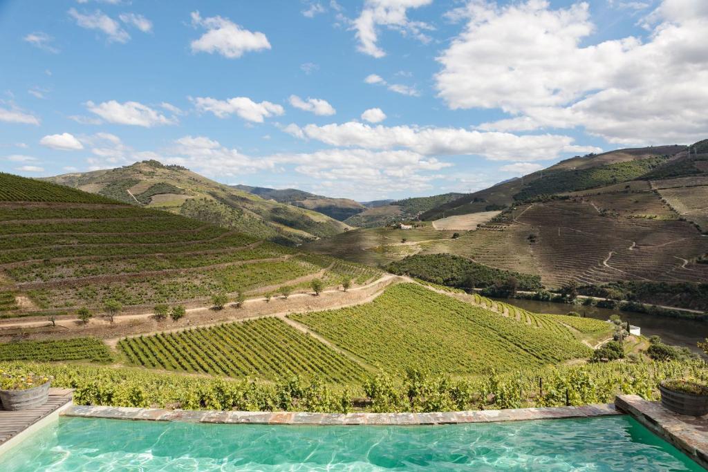 Why you Should Plan a Wine Trip Through the Douro Valley