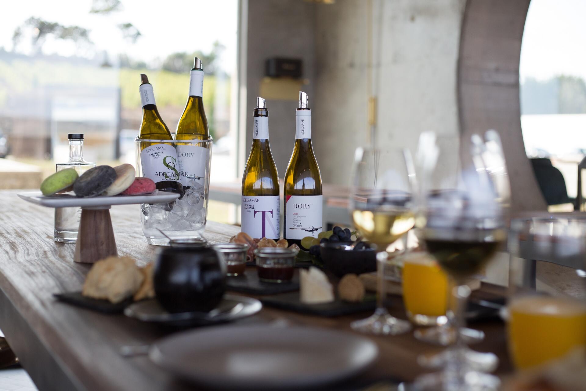 Discover the Best Wineries to visit in Portugal in 2023