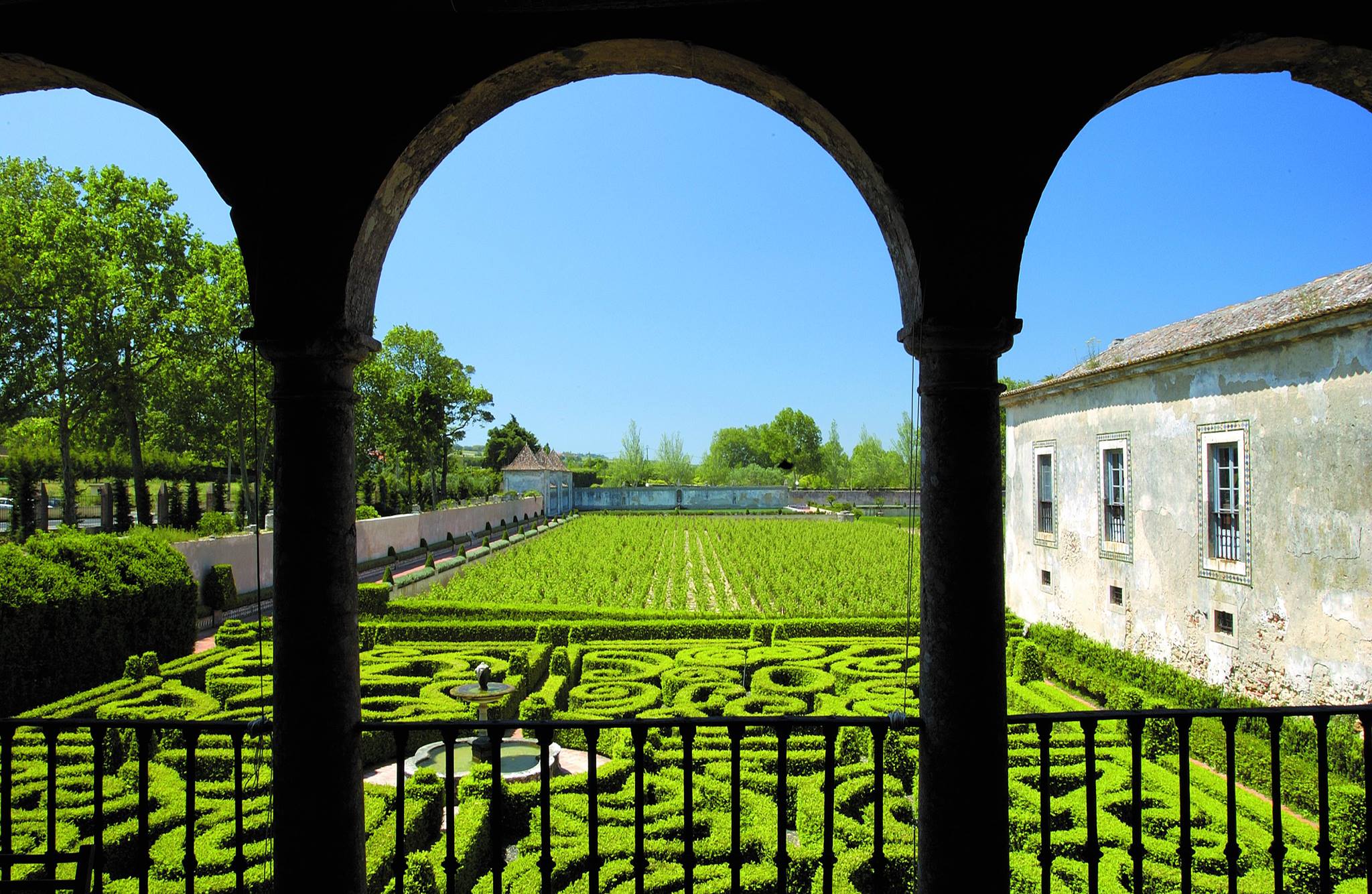 The Best of Portugal | Wine Tourism in Portugal