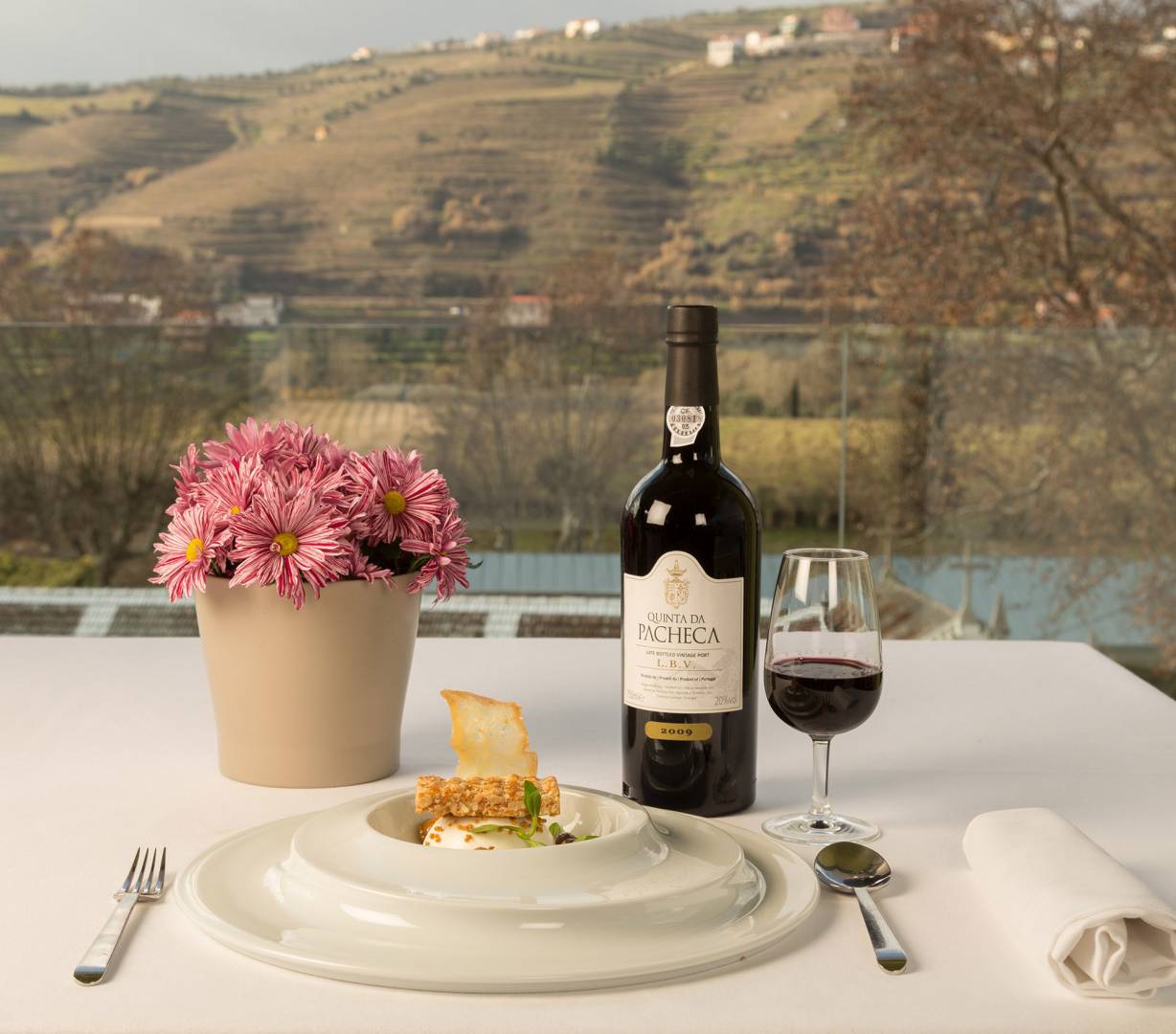 The best Guide to the Top Wine Hotels in the Douro Valley