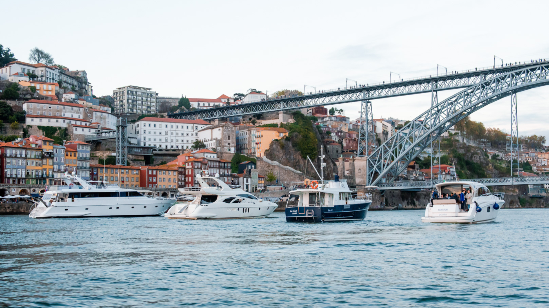 Wine, Culture, and Scenic Beauty: Douro River Cruises