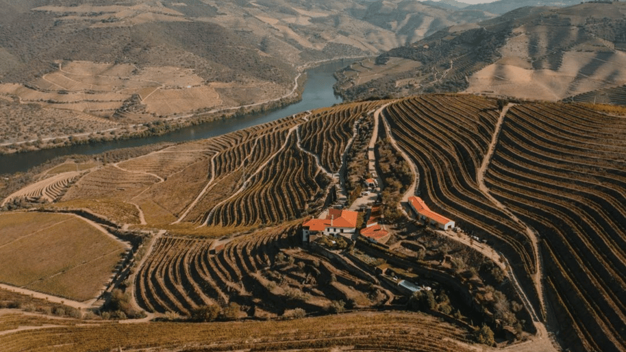 Wine, Culture, and Scenic Beauty: Douro River Cruises