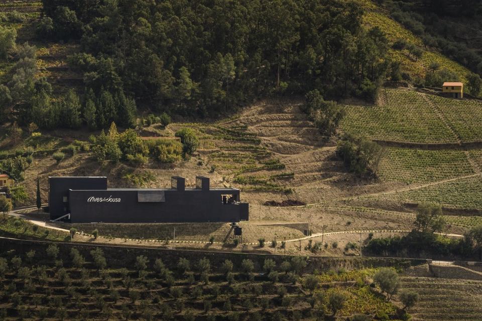 Discover the Best Wineries to visit in Portugal in 2023 