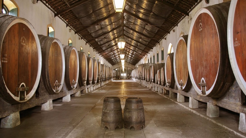Adega Regional de Colares; Wineries in Lisbon; Wine Tasting in Lisbon