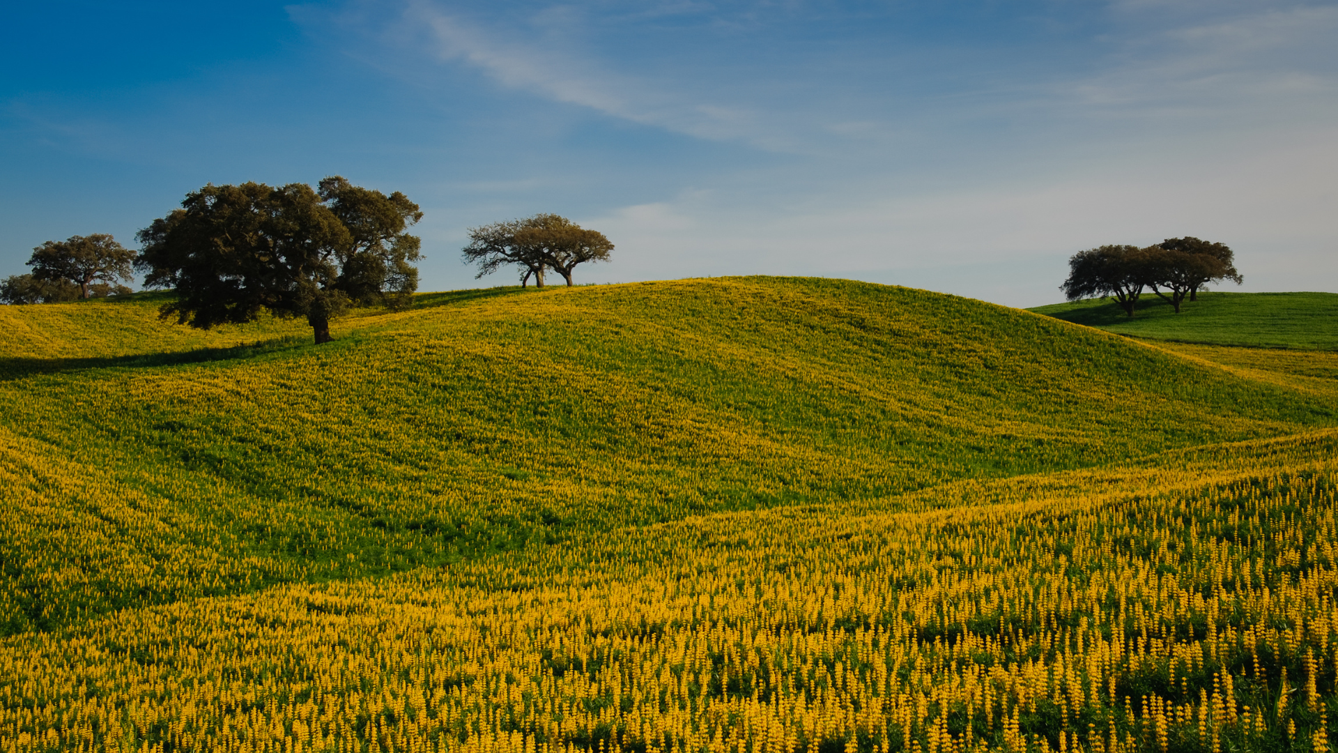 Alentejo, Portugal