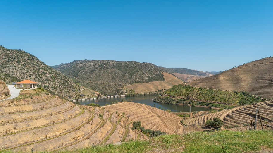 Alto Douro Vinhateiro