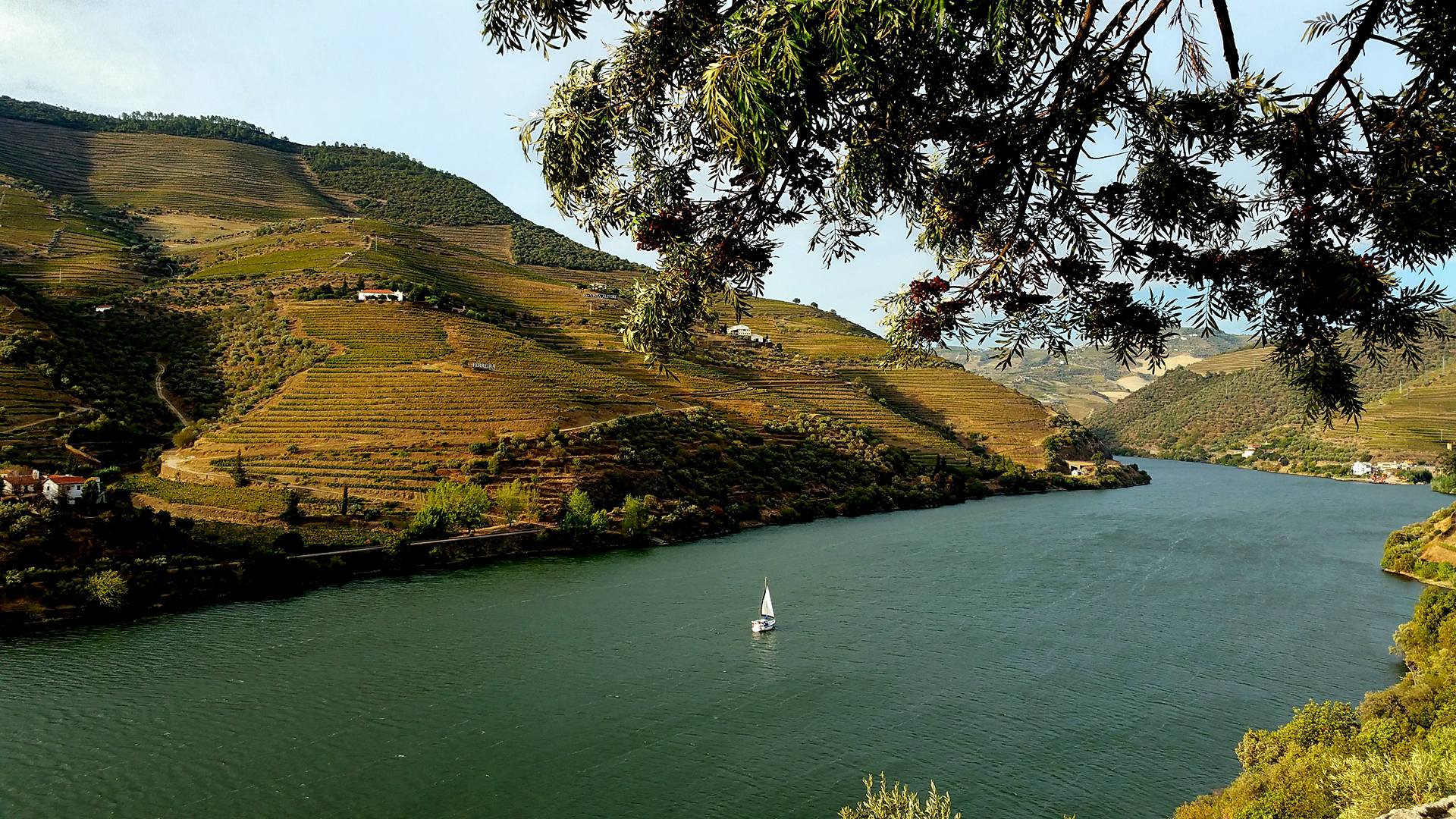 douro_a_vela