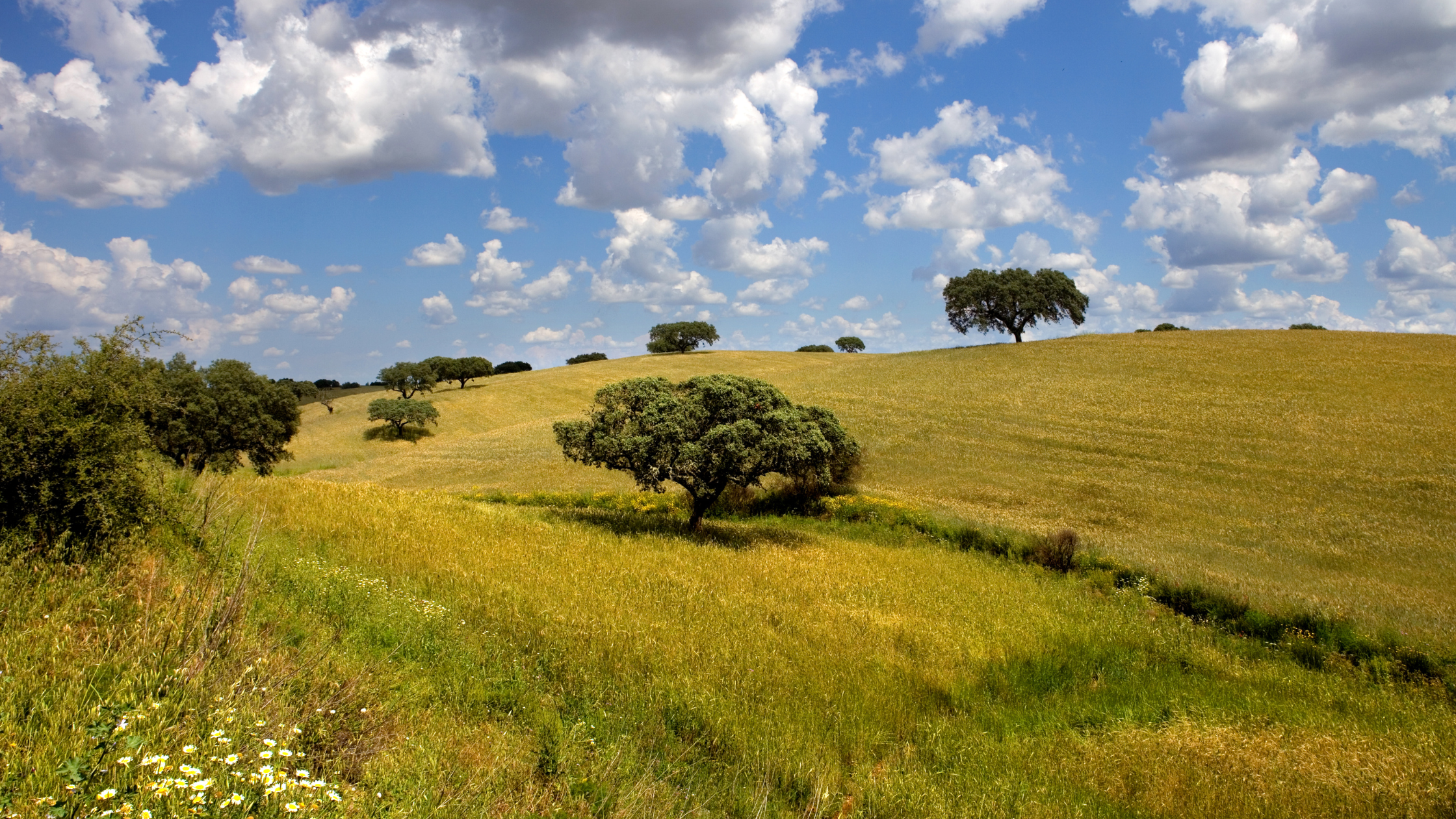 Reasons to Visit Alentejo Portugal