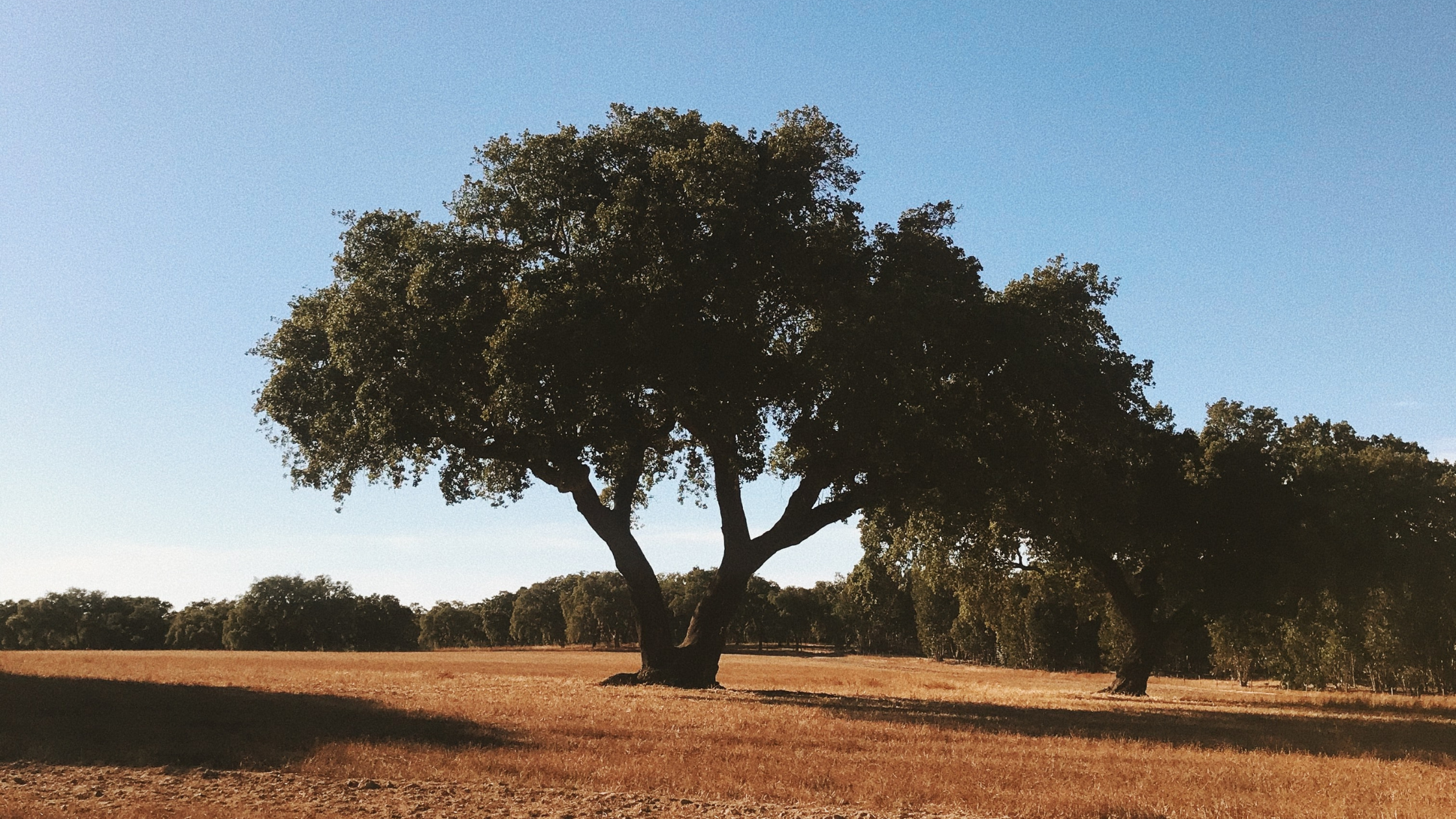 Reasons to Visit Alentejo Portugal