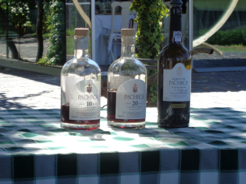 wine harvest in Portugal, wine tours in portugal, wine tours in douro, quinta da pacheca