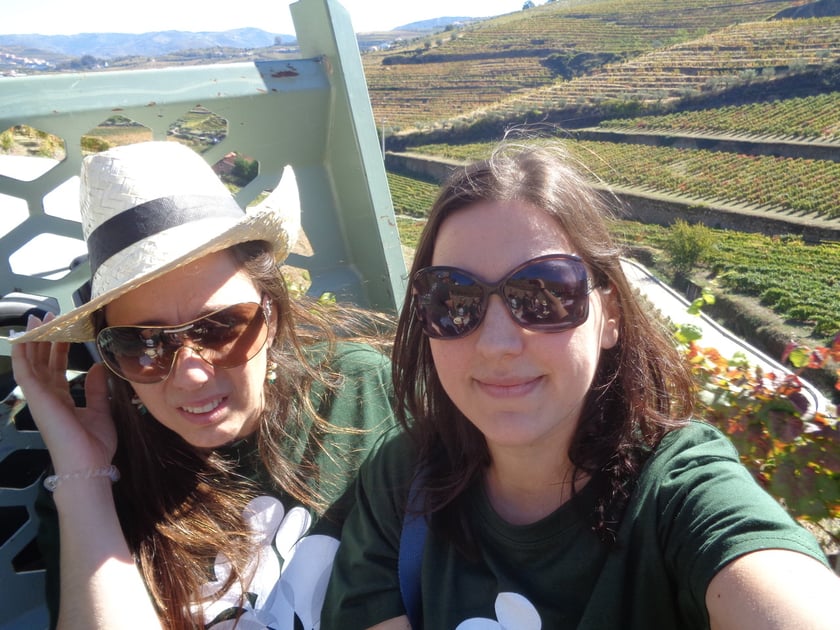 wine harvest in Portugal, wine tours in portugal, wine tours in douro, quinta da pacheca