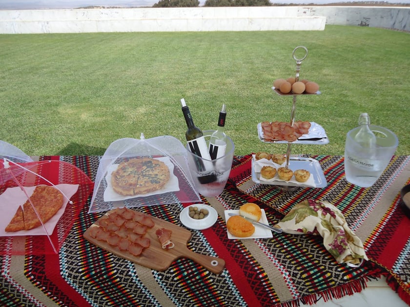 picnic, winery, vineyard, alentejo, adega mayor