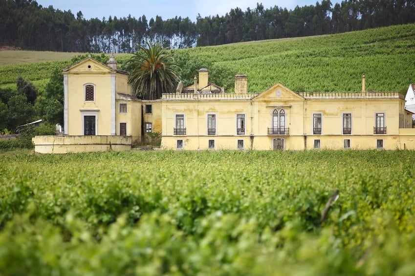 Quinta do Gradil - Wine Tasting in the Lisbon Region