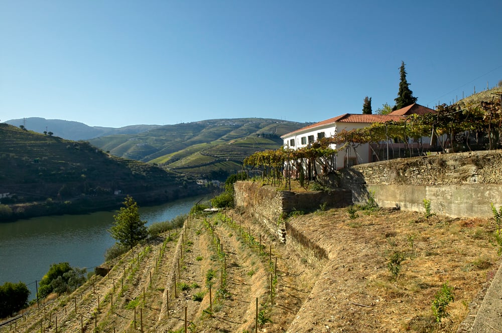 Casa_Amarela_01_copy