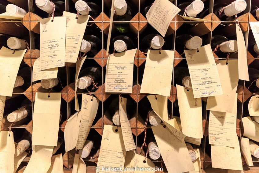Alentejo Wine Travel Guide - Adega Mayor Wine Cellar