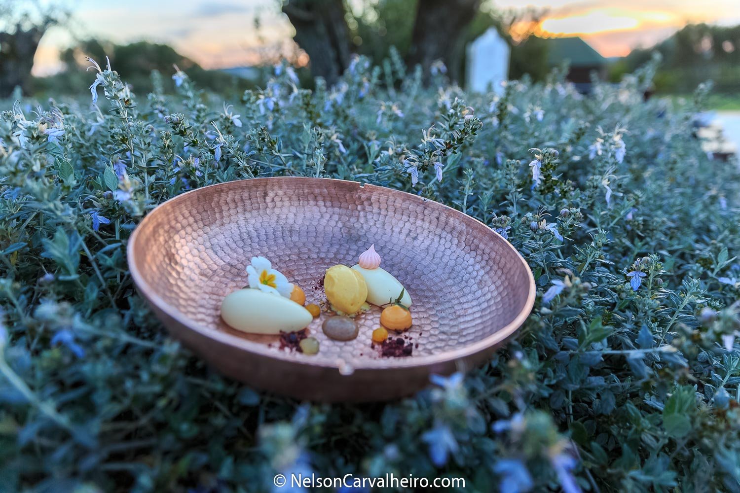 Alentejo Wine Travel Guide - Divinus Restaurant - Summer/Spring Menu Detail