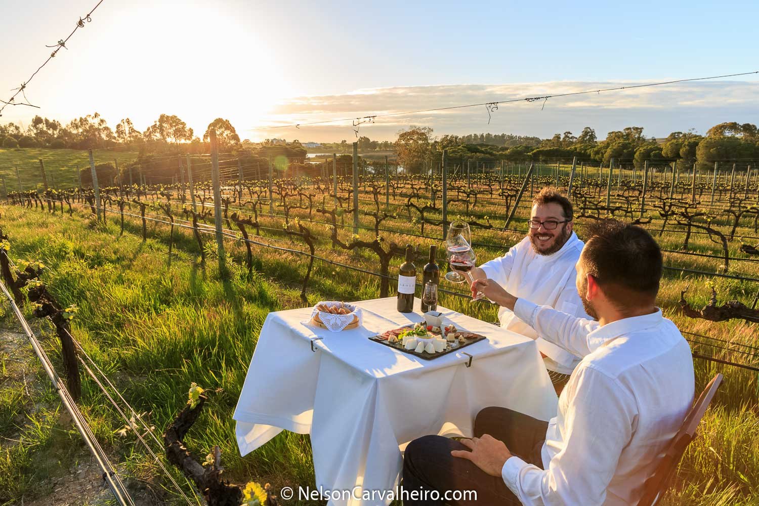 Alentejo Wine Travel Guide - Herdade dos Grous - Wine&Food Experience