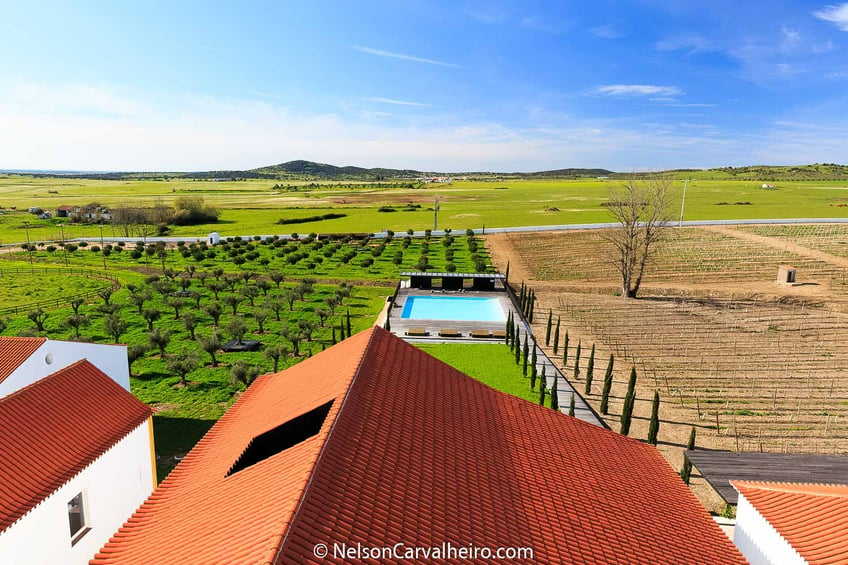 Alentejo Wine Travel Guide - Torre de Palma Wine Hotel Overview