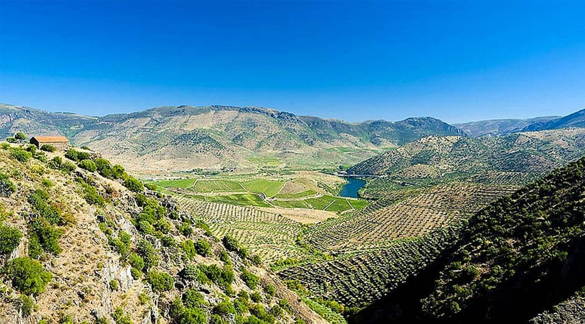 Trás-os-Montes Wine Region