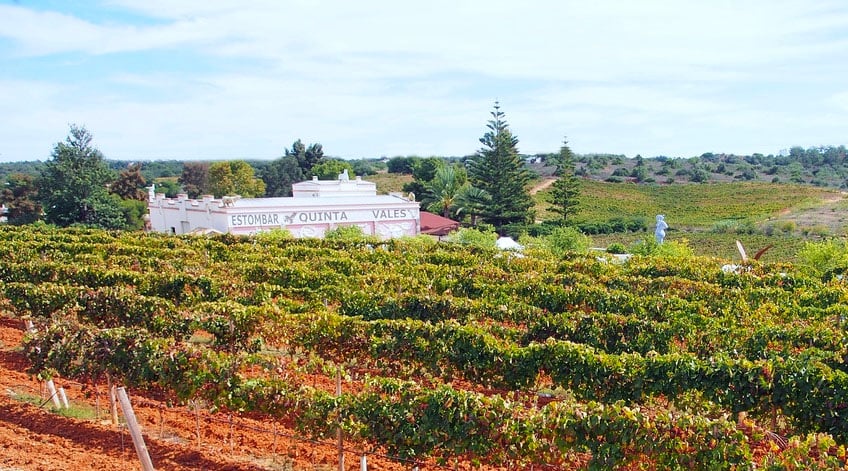 Algarve Wine Tour - Quinta dos Vales Vineyard