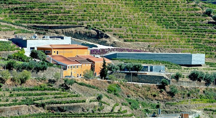portuguese wines, awards to portuguese wines, awarded winery, best wineries in douro, best portuguese wines, best wines 2015, quinta do vallado, quinta da pacheca 