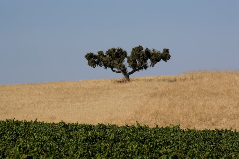 alentejo, travel tips