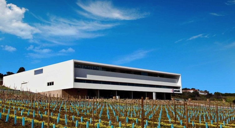 adega_mae, adega_mayor, wineries in portugal, most modern wineries in portugal, best wine tours in portugal, best wineries in Portugal 