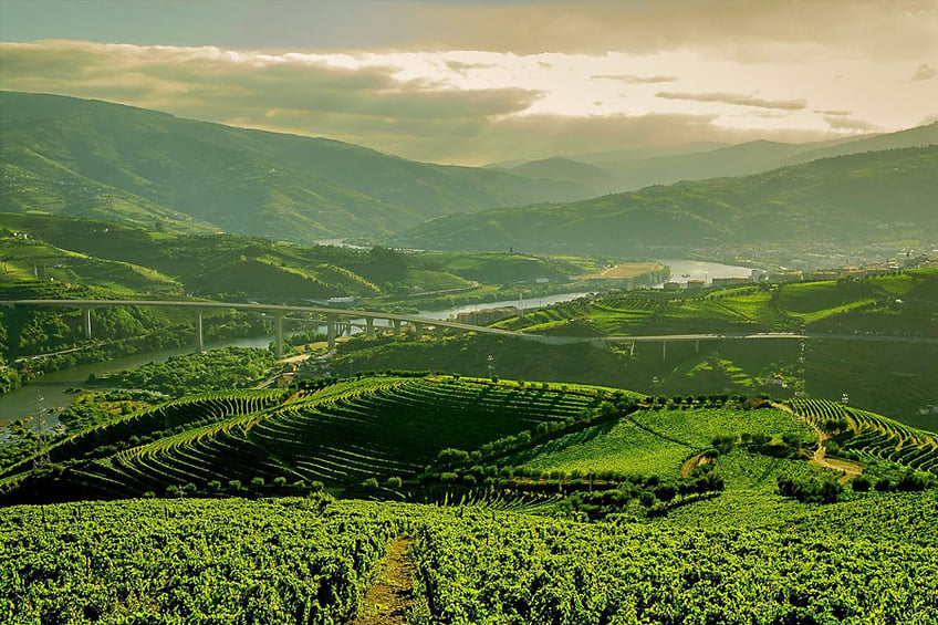 Book Wine Tour - Douro Valley