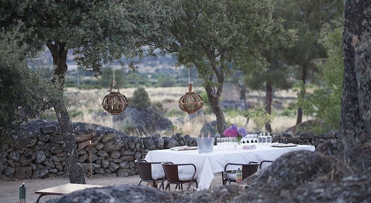 gourmet, private picnic, vineyard, portugal