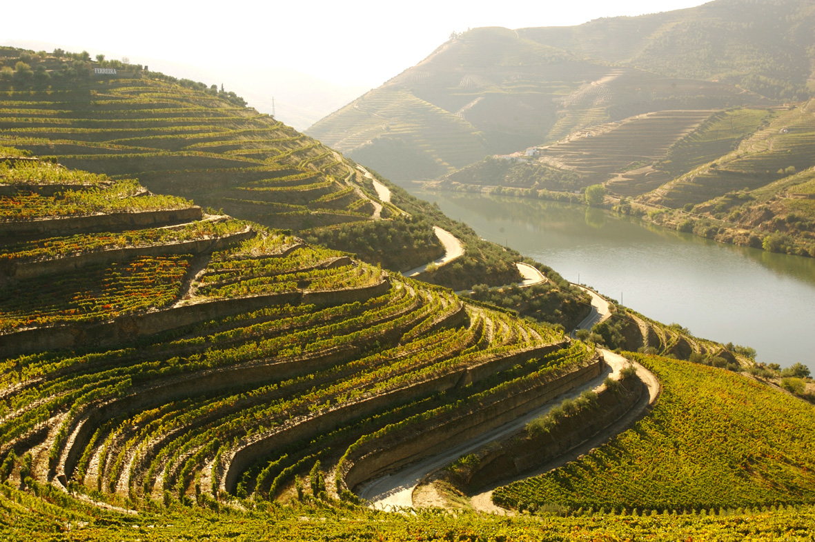 Wine, Culture, and Scenic Beauty: Douro River Cruises