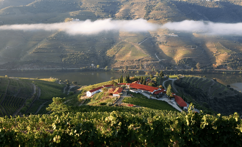 Best wine hotels in portugal