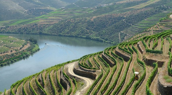 douro-valley-vineyards.png
