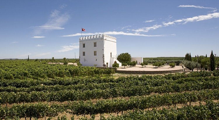 wine, wine toruism in portugal, wine landscapes, vineyards, best wine destinations, best european wine destinations